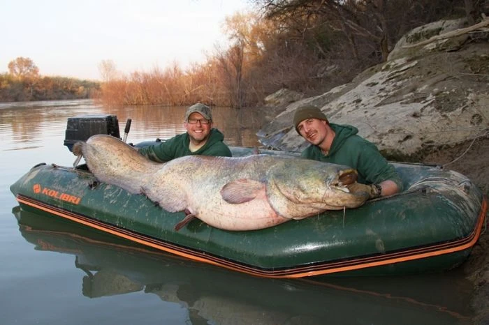 Kolibri KM-330D Professional Karperboot 8 Kolibri KM-330D Professional Karperboot - Afbeelding 6